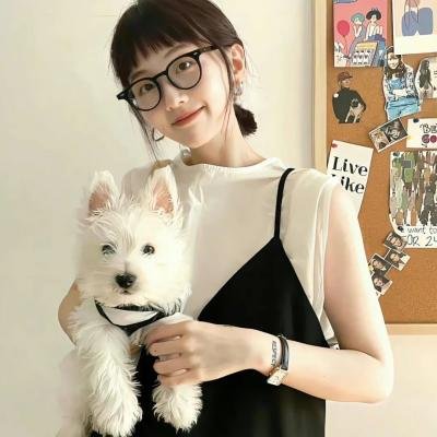 秦淮世家粤语